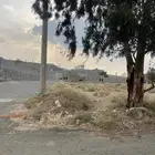 للبيع ست قطع