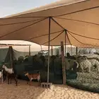 مضلات غنم ومضلات سيارات وجميع انواع المضلات