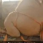 قعدان شحم بريدة