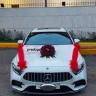 تشريع سيارات عرسان