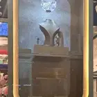 ستاند (عربية) ملكة أو شبكة