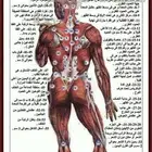 الحجامة النبوية والابر الصينية