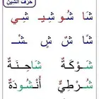 تأسيس لغة عربية وانجليزية