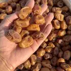 100طن اخلاص