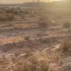 للبيع ارض سكنية في حي الحزم بمحافظة رياض الخبراء
