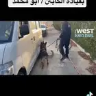 تدريب وتعديل سلوك جميع انواع الكلاب