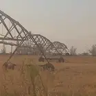 رشاش محور 5 ابراج للبيع بيرلس