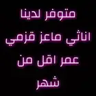 ماعز قزمي اناثي عمر اقل من شهر