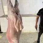 ذبايح طليان حريه ذبح توصيل لباب بيتك لثلاجة وللمناسبة