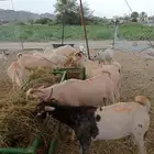 موقعنا الرياض جده الباحه مكه تبوك