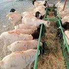 موقعنا مكة الرياض الباحة تبوك