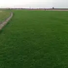 ثيل سي 2000 صافي وطبيعي الم