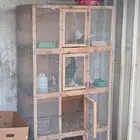 محكر طيور للبيع