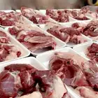 ذبيحه طلي رخل اذا ماعجبك رجع فلوسك (ذبايح)