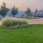 شاليه مشجر للإيجار اليومي في العمارية