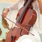 عازفات