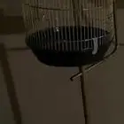 قفص طيور استاند