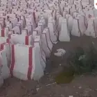 سفتي صبيات للبيع