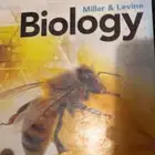 كتب مدارس عالميه