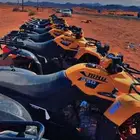 ايجار خيل ودبابات وبقيات وجمال