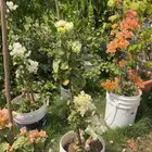 مشتل التكامل الخضراء الزراعي 0533351329