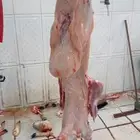 ذبايح حرية وتيوس وسواكني بلدي لحد بيتك وانت مرتاح