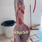 ذبايح حرية تيوس سواكني باسعار طيبة