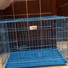 الشوقيه شارع البيك