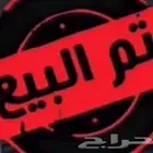 للبيع فروخ روز