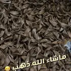 عود ازرق رقم 2 الكيلو 700 ريال فقط