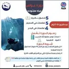 اعلان عن دورة غواص مياه مفتوحة