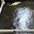 غازل ستخا خزان