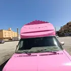 جمس فإن سفاري