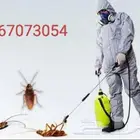 الريان المثالي مكافحه حشرات