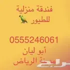 فندقة طيور وقطط وقت سفرك
