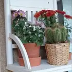 اثاث حدائق