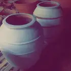فخاريات واشجار داخليه وخارجيه باسعار طيبه