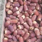 صقعي فاخر