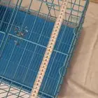 قفض حيوانات حجم كبير