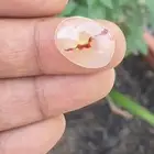 عقيق يماني مصور