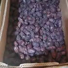 خضري