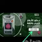 مطلوب بذور بصل بافطيم