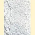 بديل الحجر