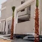 نخيل واشنطني ونخيل عربي وتنسيق الحدائق