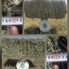 السلام عليكم ورحمة الله وبركاته مساءك الله بالخير