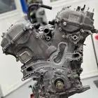 مكينه اف جي شد بلد مستورد ضمان عالي