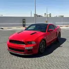 مطلوب مطلوب موستنق من 13 ل19