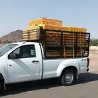 توصيل دجاج وطيور