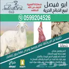 ذبايح حريه من البر مع الذبح والتوصيل الى منزلك