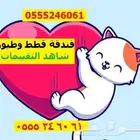 شاهد التقييم - فندقة قطط 61 60 24 0555 فندقة طيور - مخرج 6